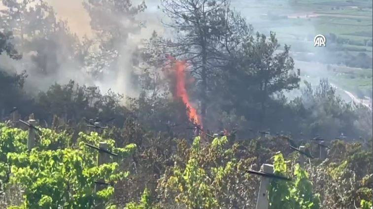 Sakarya'da orman yangını - Resim: 13